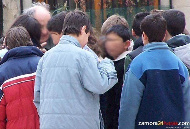  La Red de Protección a las familias atiende las necesidades de alimentación de 7.400 menores durante el primer semestre de 2014 