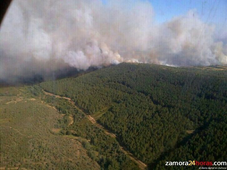  Denuncian que la Junta prevé invertir en montes un 27% menos de lo que recomienda el Gobierno 