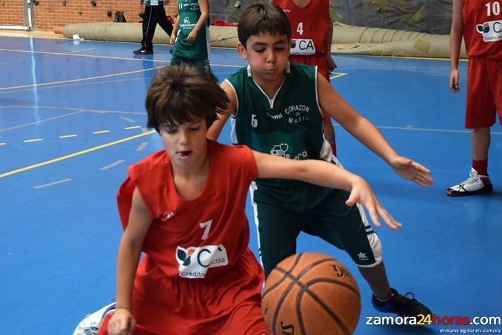  Valladolid acoge el Campeonato Autonómico de selecciones provinciales de minibasket alevín 