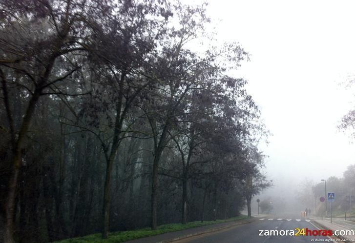  Se prolonga una jornada más la alerta amarilla por nieblas 