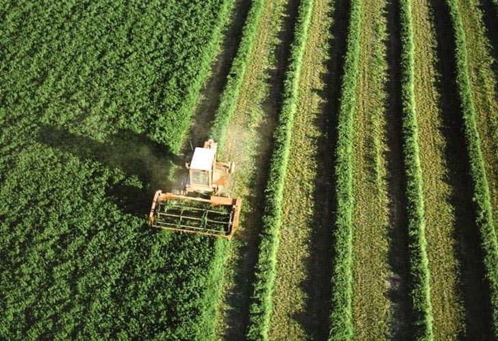  Aumenta la contratación en líneas de seguro agrícolas y ganaderas 