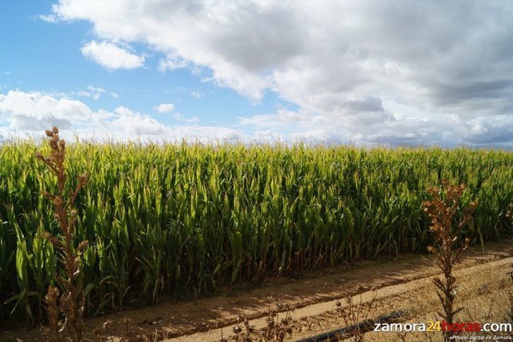  La Junta da a conocer las cooperativas agrarias entre los estudiantes de Bachillerato y FP 