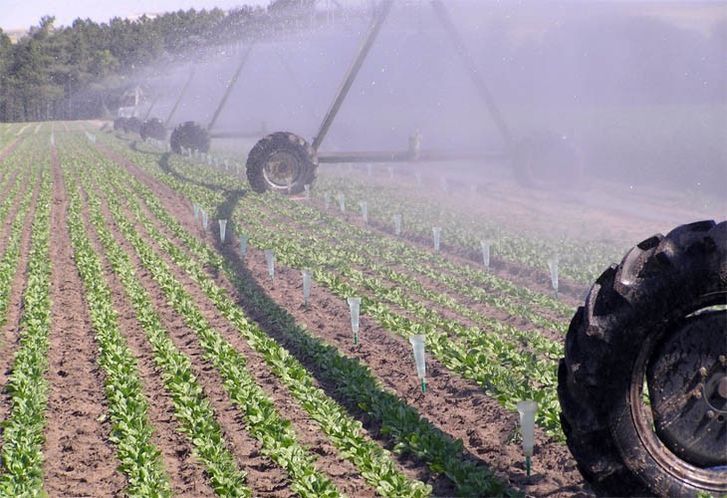  UPA-COAG considera que no existe agotamiento del acuífero de Los Arenales 