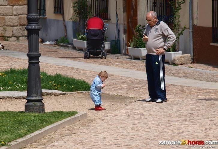  Los pensionistas de Zamora cobran la nómina mensual más baja de Castilla y León 