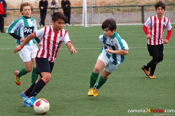  Cuatro jugadores de la provincia, en la concentración territorial alevín de fútbol 7 