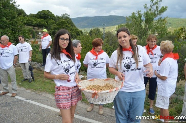  La tradición del carro enfeitado centra los últimos días de fiestas en la localidad 