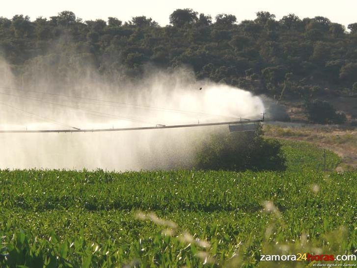  La Junta destina más de 63 millones de euros a los 44 grupos de acción local de Castilla y León 