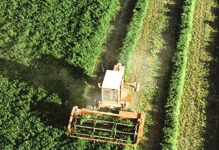  El Gobierno inyectará 2,1 millones para programas agroalimentarios y ganaderos 