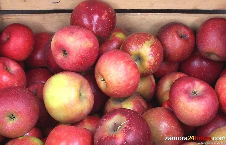  Promueven el consumo de fruta y verdura en los escolares 