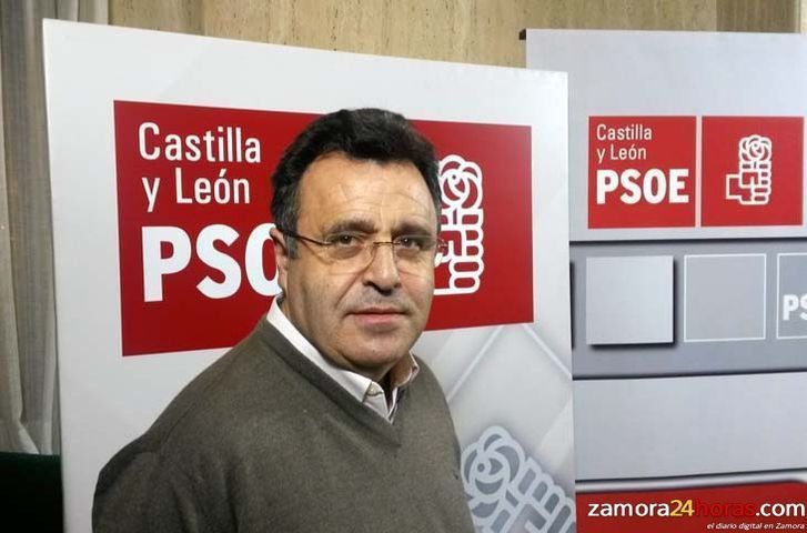  El PSOE exige medidas para reducir el número de accidentes provocados por animales salvajes 