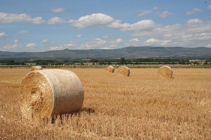  Zamora, la segunda provincia de la región que más profesionales perdió en agricultura y ganadería en 2014 