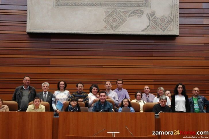  Un grupo de usuarios de Asprosub visita las Cortes 