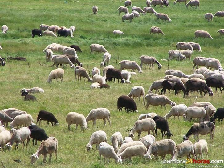  La creación de empleo y la fijación de población en el medio rural, principales objetivos para 2015 