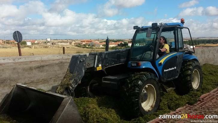  El Día Internacional de la Mujer Rural recuerda que las mujeres "son imprescindibles para la supervivencia de nuestros pueblos” 