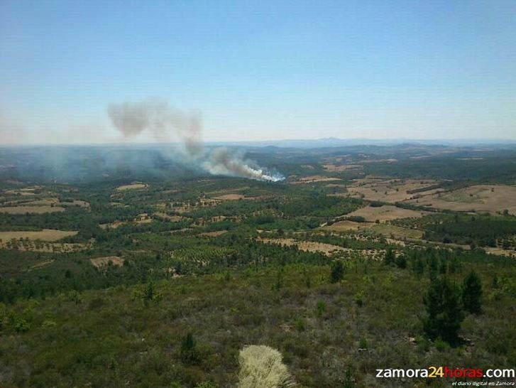  Permanece activo un incendio forestal declarado en Camarzana de Tera 