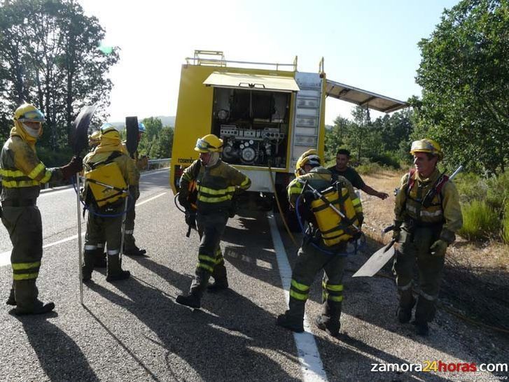  CSI-F pide más participación de los agentes forestales en la investigación de incendios y otros delitos contra el medio ambiente 