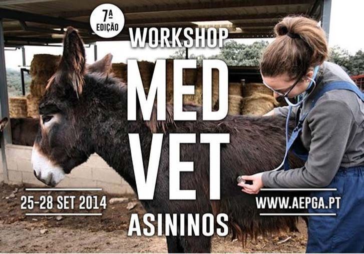  Celebran en Portugal la séptima edición del Taller de Medicina Veterinaria de Burros 