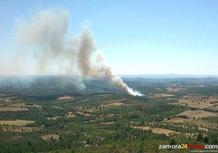  Los servicios de extinción sofocan dos incendios forestales en Padornelo y Nuez de Aliste 