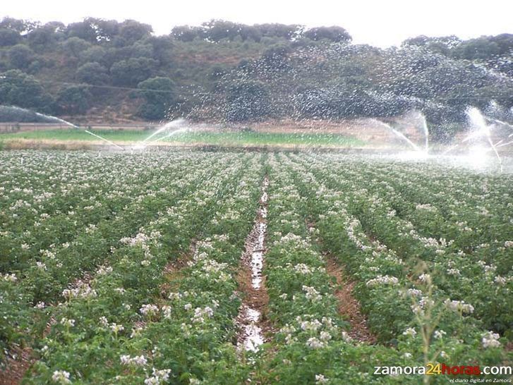  Más de 3.000 jóvenes se han incorporado al sector agrario regional entre 2007 y 2013 