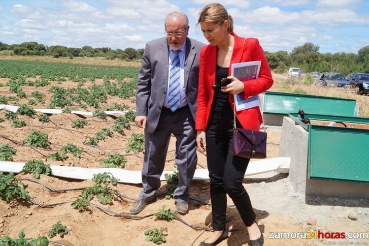  UPA-COAG exige el nombramiento "inmediato" del nuevo presidente de la Confederación Hidrográfica 