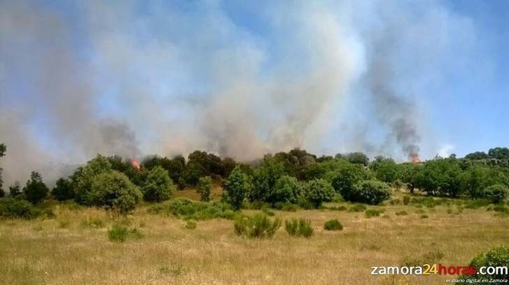  Dos incendios en Muelas del Pan y Trabazos exigen la intervención de siete medios aéreos 