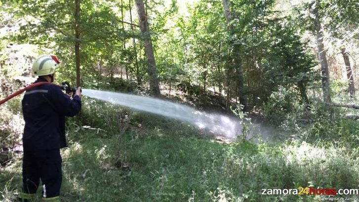  Los Bomberos de Zamora sofocan tres incendios en el bosque de Valorio, probablemente provocados 