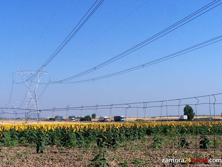  El Ministerio compromete bonificaciones de 55 millones de euros en la factura eléctrica en el regadío 