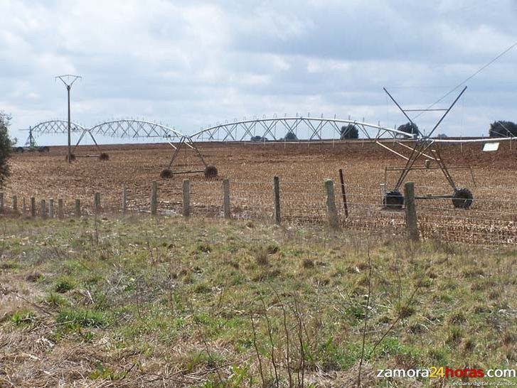  UCCL tilda de “insuficiente” el esfuerzo presupuestario del Ministerio de Agricultura, Alimentación y Medio Ambiente 