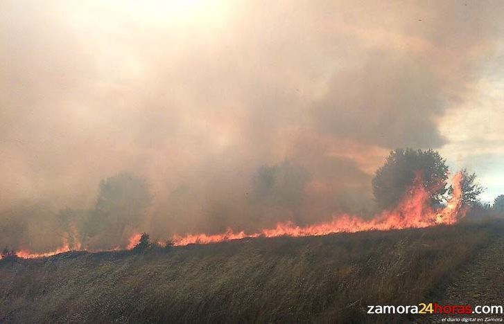  El incendio provocado por un rayo en Alcorcillo obliga a actuar a un helicóptero y dos aviones 