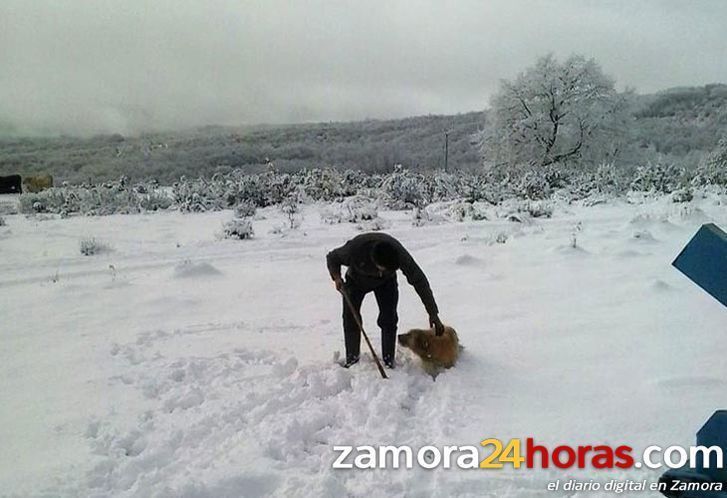  Alerta por viento y nieve en la comarca de Sanabria 