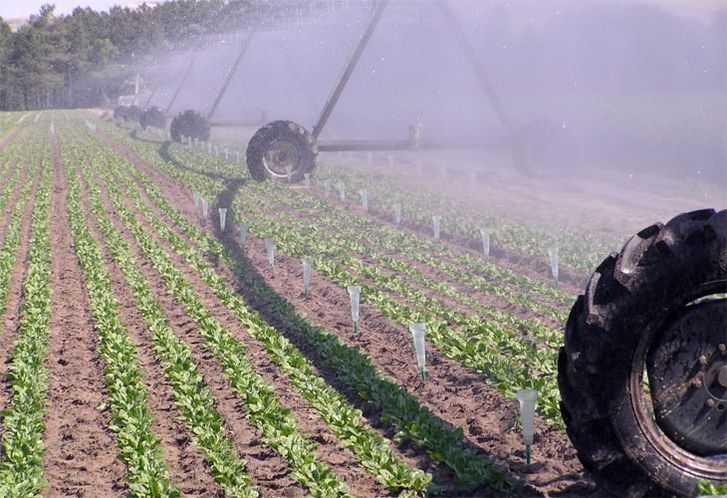  Las comunidades del Alto Duero, sin acuerdo de cesión de agua a las comunidades de Bajo Duero 