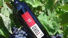  Varias bodegas de la DO Toro acudirán a Chicago para consolidar el mercado del vino toresano en EE.UU. 