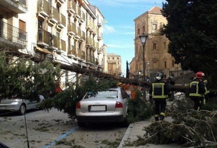  El Ayuntamiento paga 572 euros a un ciudadano que sufrió daños en su vehículo al caerle la rama de un árbol 