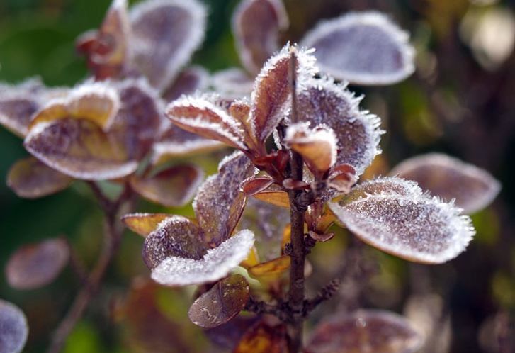  Alerta amarilla por temperaturas mínimas en la provincia 