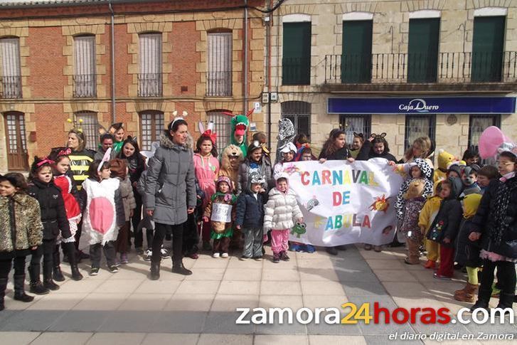  Los colegios de la provincia celebran el Carnaval 2015 