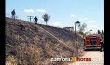  Rominguera exige a ADIF la limpieza de la línea de ferrocarril como medida de seguridad 