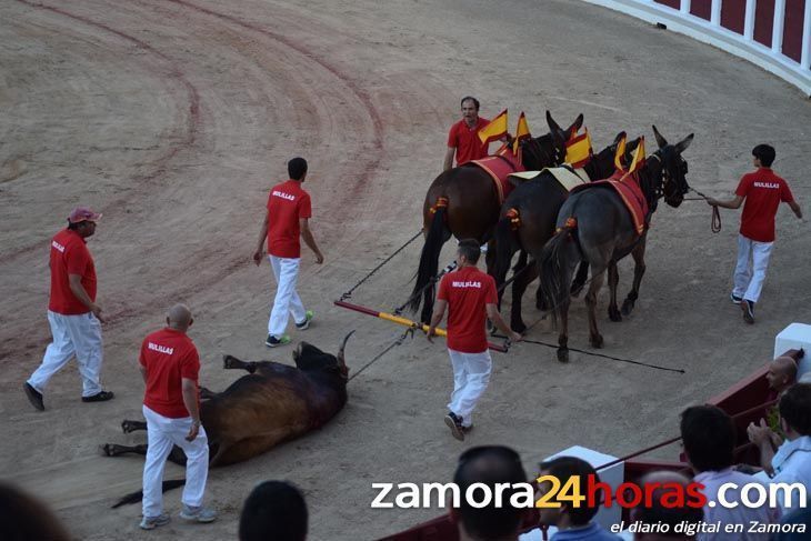  Toros sábado SP15 