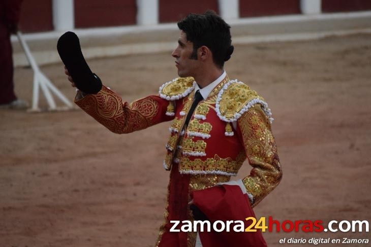  Toros domingo SP15 