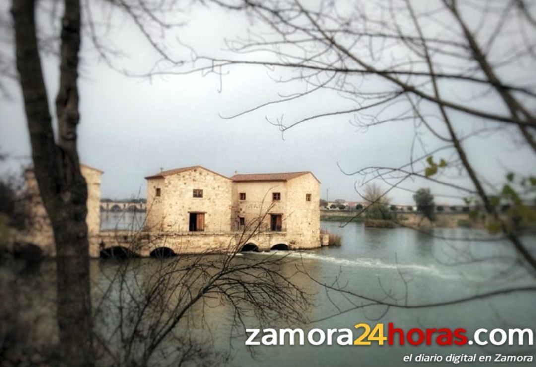  Navidad con máximas de 12 grados en Zamora 