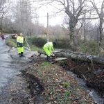  Previsión de rachas fuertes de viento y nevadas durante las próximas horas 