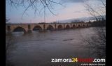  El caudal del Duero aumenta hasta rozar los 500 metros cúbicos por segundo a su paso por Zamora 