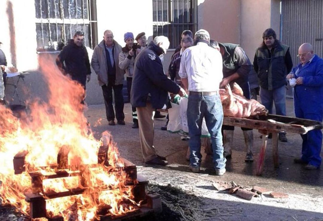  En Pajares se aprovecha "hasta los andares" del cerdo 