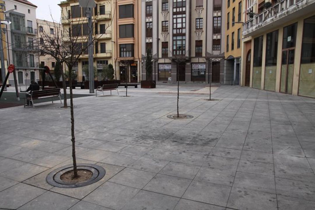  El Ayuntamiento repone 50 árboles en diferentes puntos de la ciudad "a coste cero" 