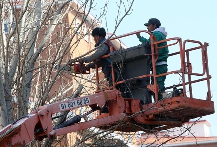  Aumenta la afiliación de extranjeros a la Seguridad Social 