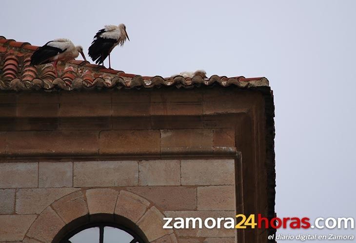  La situación meteorológica se calma 