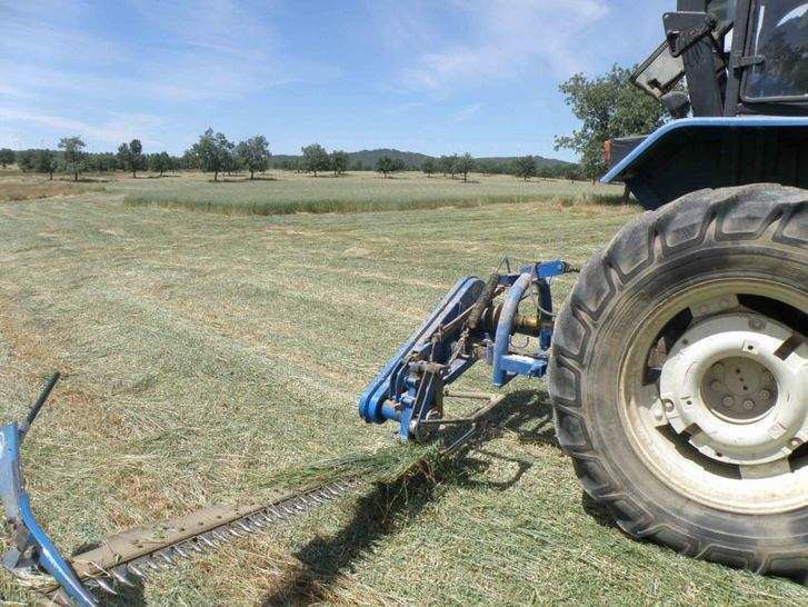  COAG inicia una campaña divulgativa sobre buenas prácticas laborales en el sector agrario 