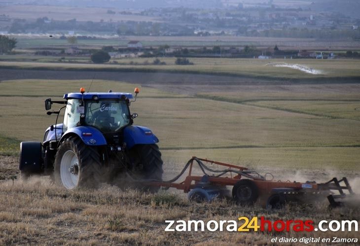  Asaja advierte que un tercio de los agricultores y ganaderos todavía no han recibido el anticipo PAC 