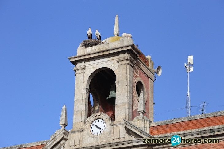 Reloj del Ayuntamiento de Zamora