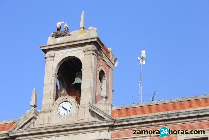  Las obras en las inmediaciones de la Plaza Mayor dejan sin suministro eléctrico al Ayuntamiento 