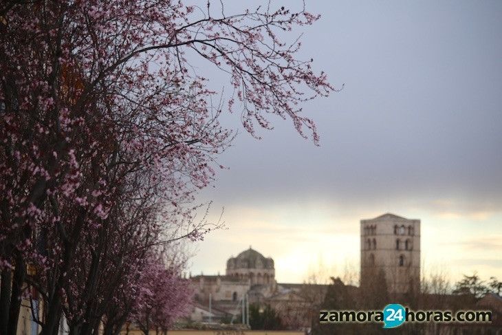 Cielos nublados y máximas por debajo de los catorce grados